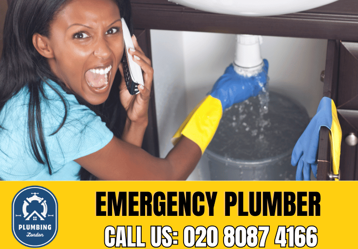 emergency plumber Sohos